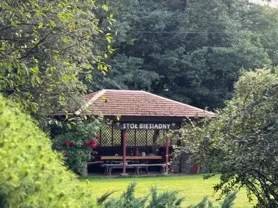 Ogród w obiekcie Zielona Dolina