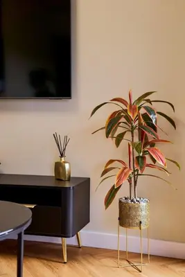 Telewizja i/lub zestaw kina domowego w obiekcie Polanica Park - LAGUNA - PREMIUM 3 -BURGUNDOWY