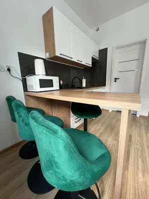Kuchnia lub aneks kuchenny w obiekcie Apartament Szmaragd