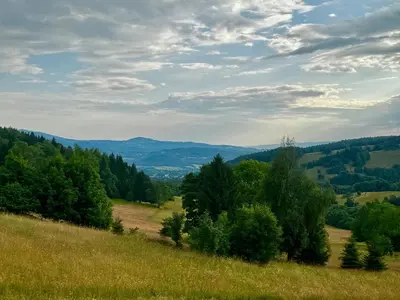 Przyroda w pobliżu tego apartamentu