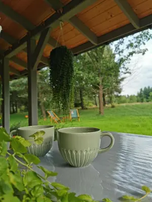 Ogród w obiekcie Domek Park Korzonek