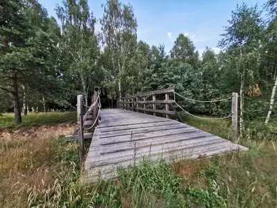 Przyroda w pobliżu tego domku letniskowego