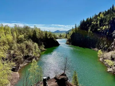 Przyroda w pobliżu tego domu w stylu alpejskim