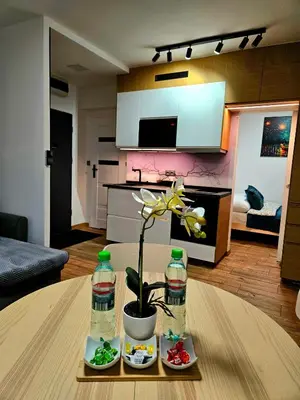 Kuchnia lub aneks kuchenny w obiekcie Apartament Kozielska z balkonem, klimatyzacja, darmowy Parking