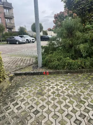 Ogród w obiekcie Apartament Sara z balkonem