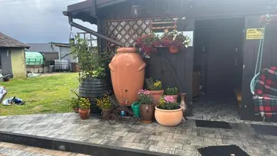 Ogród w obiekcie apartament eurotrader321