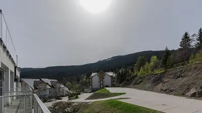 Przyroda w pobliżu tego apartamentu