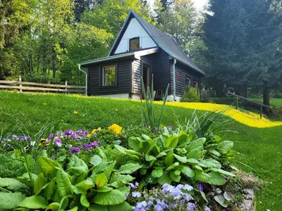 Ogród w obiekcie Leśne Apartamenty