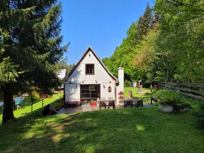 Ogród w obiekcie Leśne Apartamenty
