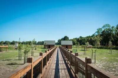 Plan piętra w obiekcie Hotel Naturum