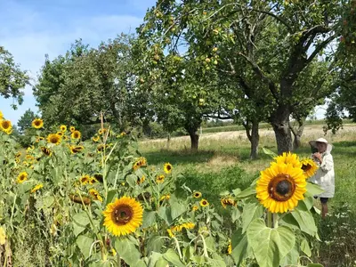 Goście zatrzymujący się w obiekcie Pasieka Miody Gór Opawskich