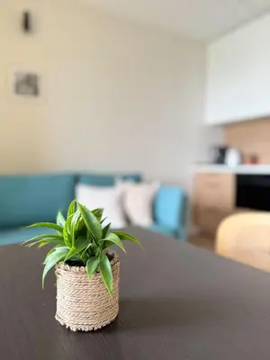 Część wypoczynkowa w obiekcie Legnicka Residence 38