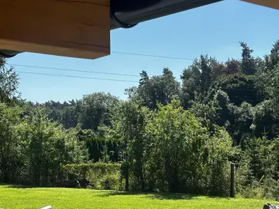 Przyroda w pobliżu tego apartamentu
