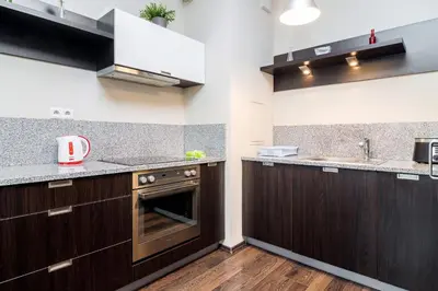 Kuchnia lub aneks kuchenny w obiekcie Inowrocławska 17 Apartamenty Platinum by Noclegi Renters