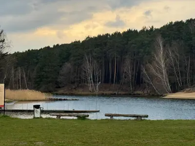 Przyroda w pobliżu tego apartamentu