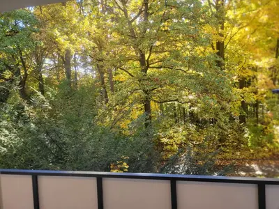 Przyroda w pobliżu tego apartamentu