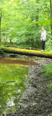 Przyroda w pobliżu tej willi