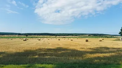 Przyroda w pobliżu tej willi