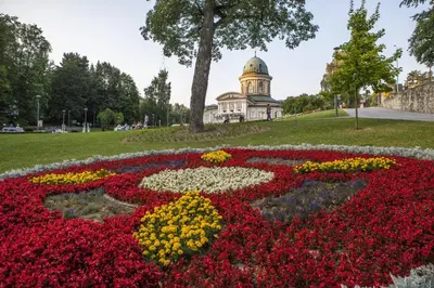 Ogród w obiekcie Hotel Alhambra