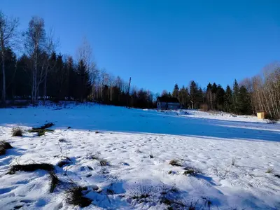 Przyroda w pobliżu tego pensjonatu