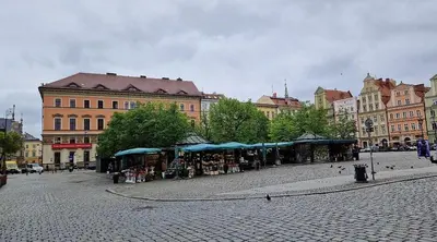 Okolica w pobliżu tego apartamentu