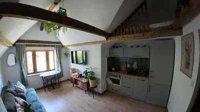Kuchnia lub aneks kuchenny w obiekcie Studio z widokiem na park