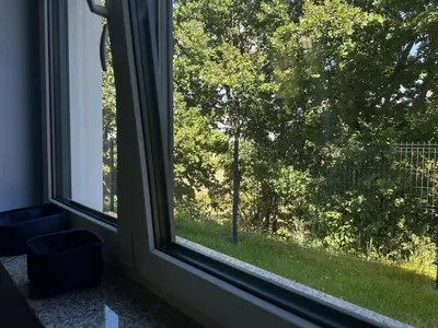 Ogród w obiekcie Willa Daisy