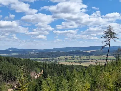 Przyroda w pobliżu tej willi