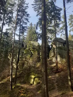 Przyroda w pobliżu tej willi