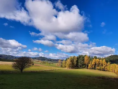 Przyroda w pobliżu tej willi