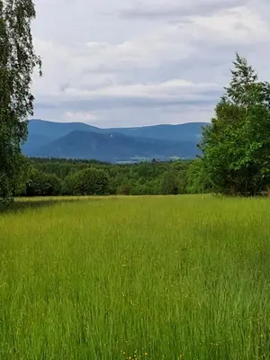 Przyroda w pobliżu tego domu w stylu alpejskim