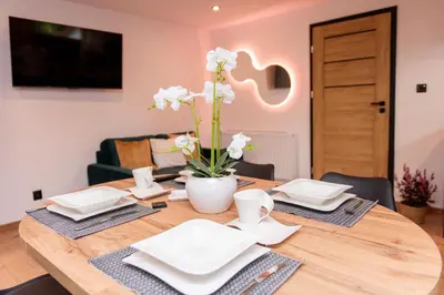 Telewizja i/lub zestaw kina domowego w obiekcie Apartamenty nad Starynką