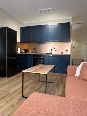Kuchnia lub aneks kuchenny w obiekcie Apartament Piastów 12