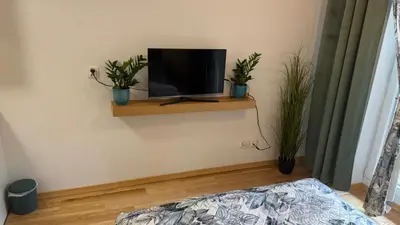 Telewizja i/lub zestaw kina domowego w obiekcie Green Leaf Studio