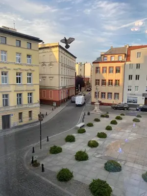 Okolica w pobliżu tego apartamentu