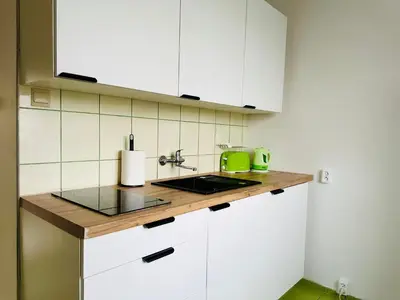 Kuchnia lub aneks kuchenny w obiekcie Perła Doliny Książa