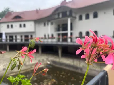Ogród w obiekcie Villa Parkova Strzelin