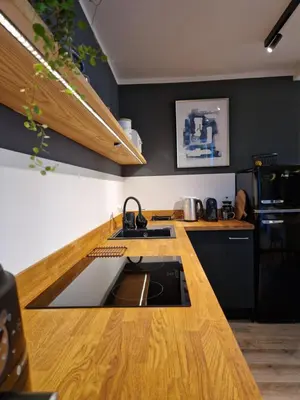 Kuchnia lub aneks kuchenny w obiekcie Studio na Wyspie Pasieka