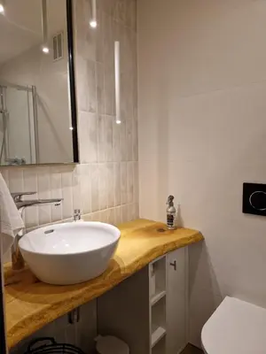 Łazienka w obiekcie Studio na Wyspie Pasieka