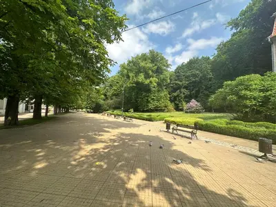 Ogród w obiekcie Spoko Apartament przy deptaku