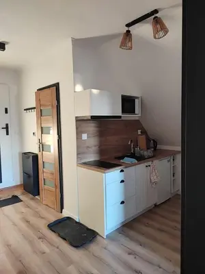 Kuchnia lub aneks kuchenny w obiekcie Apartment pod Sysunia