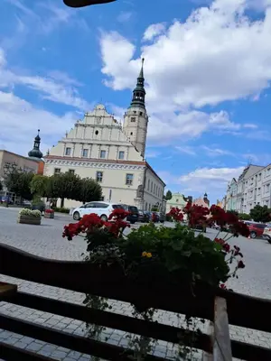 Lokalna atrakcja w pobliżu tego apartamentu