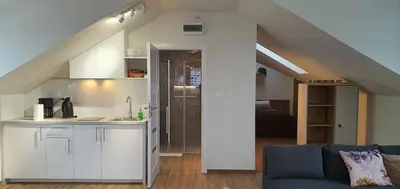 Kuchnia lub aneks kuchenny w obiekcie Villa Sjesta komfortowe apartamenty, prywatny parking, gratis parking w centrum miasta