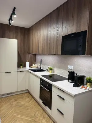 Kuchnia lub aneks kuchenny w obiekcie Apartament OMEGA