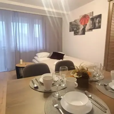 DROINVEST Mieszkanie 2-pokojowe - Apartament Nysa