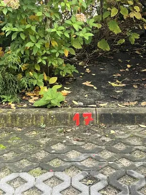 Plan piętra w obiekcie Apartament Enea z balkonem
