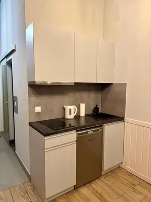 Kuchnia lub aneks kuchenny w obiekcie Apartament Paryski 3- przytulne studio dla 2-4 osób w CENTRUM