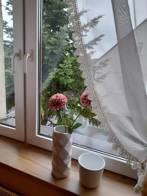 Ogród w obiekcie Mieszkanie w centrum Gogolina