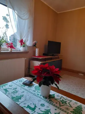 Telewizja i/lub zestaw kina domowego w obiekcie Mieszkanie w centrum Gogolina