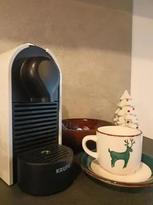 Zestaw do parzenia kawy i herbaty w obiekcie Domek w górach Łubinowa 6